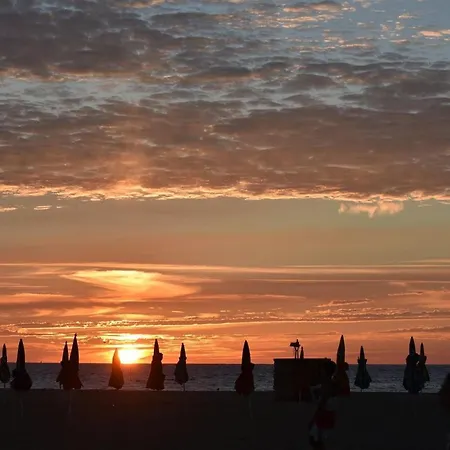 Les Parasols De * Trouville-sur-Mer